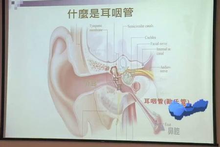 耳科赵医生 耳科简说