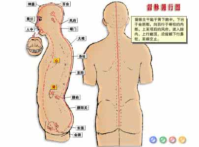 十二经脉动画循行图 动画教你认知经、脉 及穴位作用【有声版】