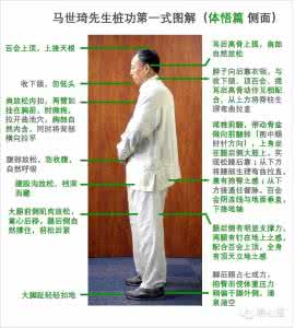 马世琦养生站桩功法 马世琦养生站桩功法 浅谈站桩养生法