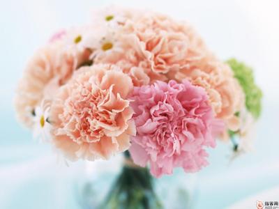 安粟是朱乃正亲生的吗 一粟jin祝好友梅竹冬安！快乐每一天！