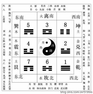 八卦象数疗法耿文涛 【视频教学】八卦象数疗法2-耿文涛讲座
