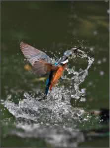 sai教程新手初级入门 入门新手别急 初级拍摄者的十条建议