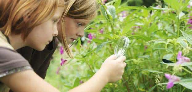 学会和这个世界打交道 让孩子学会观察这个世界