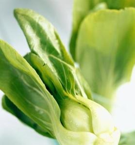 茎叶类蔬菜 茎叶类菜谱大全