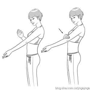 仙人掌毒素 排除毒素全凭一“掌”