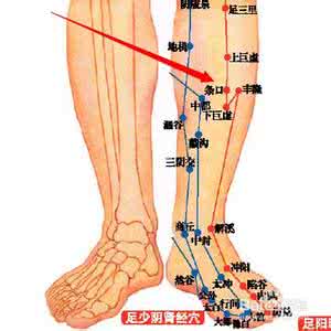 玉枕的准确位置图 玉枕穴位位置图 梦见玉枕