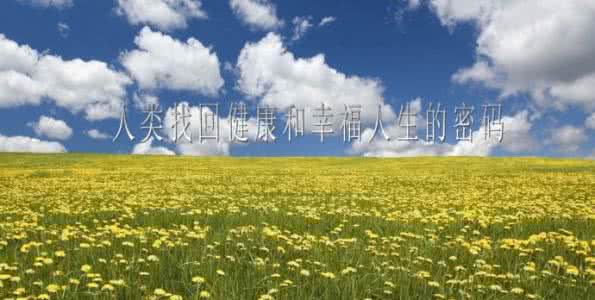 重生之农女的幸福人生 幸福人生终极密码