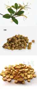 金银甘草茶 甘草的功效 甘草的成分 金银甘草茶治尿道感染 甘草的功效