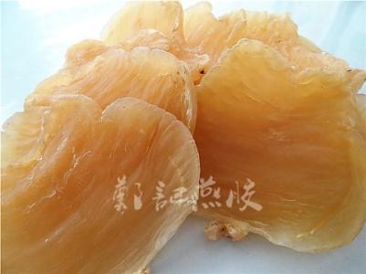 红鸡赤嘴鱼胶怎么辨别 红鸡赤嘴鱼胶 红鸡赤嘴鱼胶怎么辨别？