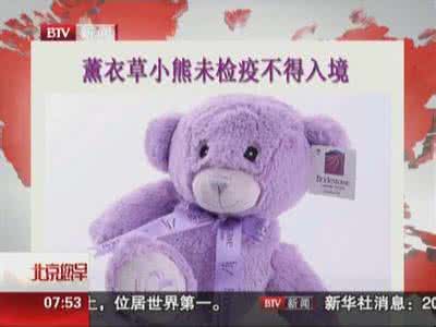 薰衣草小熊恢复入境 薰衣草小熊未检疫不得入境