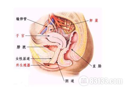 韩式缩阴手术过程图片 缩阴术简介之缩阴术是什么手术