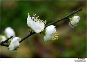 微言大义 微言碎语664