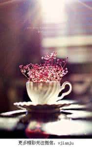 不善于表达的人真吃亏 哲理语句:主动吃亏是一种风度,善于称赞是一种智慧;智者善于花时间让自己成长,愚者习惯花时间苛责妒忌别人。