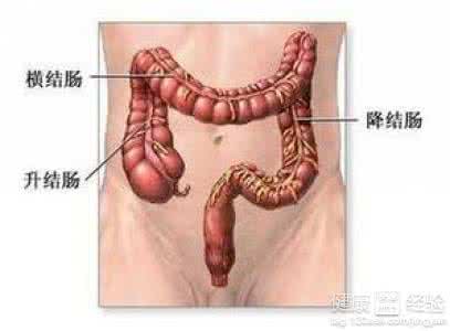 直肠炎症状及治疗 解读直肠炎的症状 发炎伤五脏