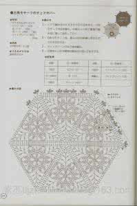爱尔兰钩编单元花视频 （日文）钩编单元花