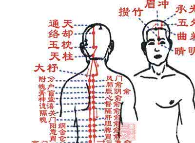 中药现代化关键技术 养生常识  堪比中药的穴位 关键时候可以救命