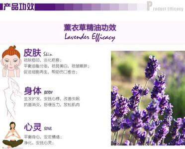 薰衣草精油功效与作用 【薰衣草精油的功效】薰衣草的功效与作用_薰衣草精油的功效