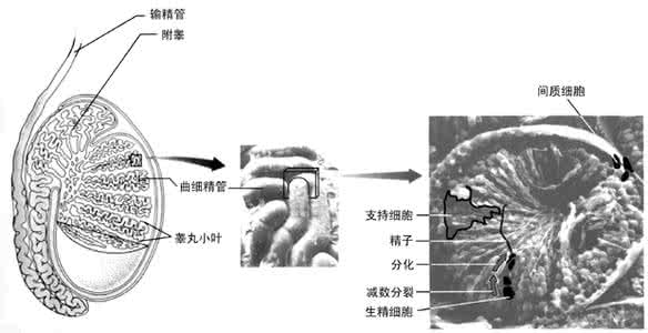 电商的奥秘第二章答案 沦落的青春：第二章