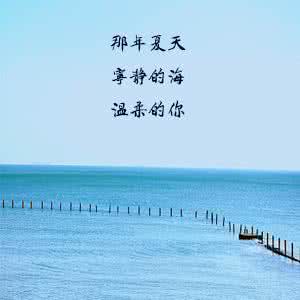 那年夏天宁静的海 那年夏天宁静的海温柔的你