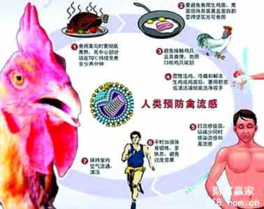 h7n9禽流感变异 预防h7n9禽流感知识 h7n9已发生变异 食物预防很关键