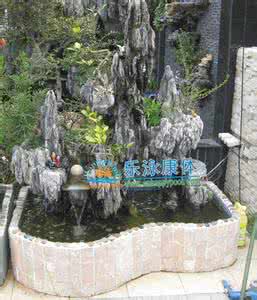 阳台鱼池假山 阳台假山鱼池风水讲究 阳台外挂花盆风水有哪些讲究