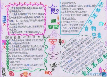 五年级食品中心手抄报 五年级食品安全手抄报