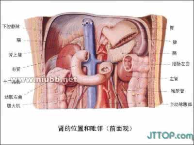 非洲母象生理结构图 人体生理结构图 如图为人体部分生理结构图，回答下列问题：（1）在图中流动脉血的血管有（填编号）______．（2）用