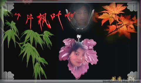 片片枫叶情 〖音画〗 片片枫叶情