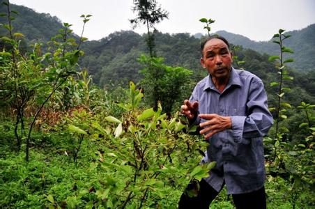 父亲是一座大山 巴渝快评：爷爷就是一座大山！