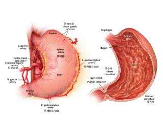 反流性胃炎吃什么药 反流性胃炎 什么是反流性胃炎
