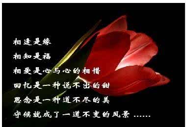天天都想见到你 天天都想见到你【情感美文】