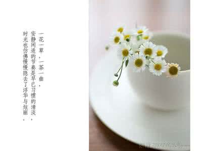 墨染流云的错嫁三部曲 凡花,一朵墨染的烟火