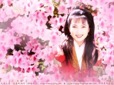 一见杨过误终身 一见杨过难误终身——为郭芙所写