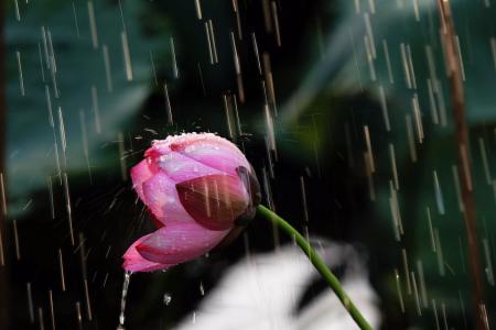 画心师 【唯美情感】夏雨清凉，浅醉画心