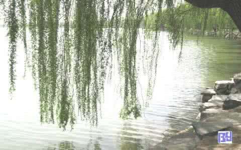 兰露重 柳风斜 棒针模式----“风吹柳斜”