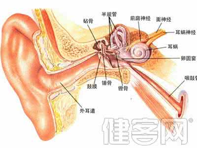 耳朵保健按摩视频 按摩耳朵来健肾