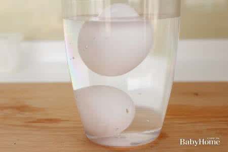 蛋筒式水杯 图解！一杯水教你挑出新鲜蛋,好蛋、坏蛋怎么分？