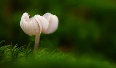 快乐的人生一切是游戏 给自己一个快乐的人生！