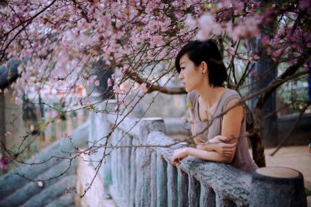 缘来花开 电影 花开,只为缘【美文欣赏】