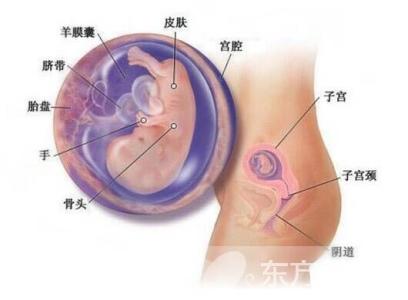胎儿宫内发育迟缓症状 胎儿宫内发育迟缓 胎儿发育迟缓的症状