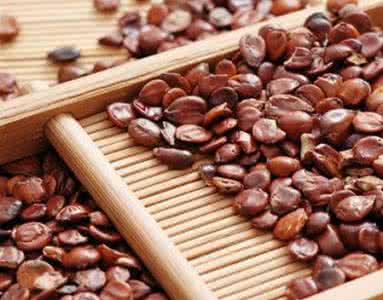 酸枣仁治失眠28个偏方 酸枣仁治失眠28个偏方 治失眠偏方 中医药膳治疗失眠偏方