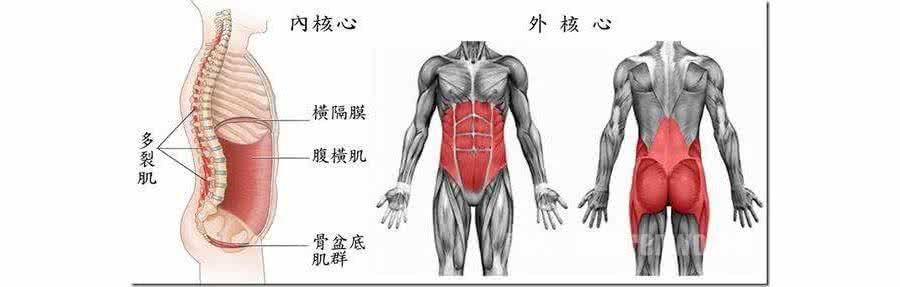 如何锻炼背部肌肉群 腰酸背痛要锻炼核心肌群