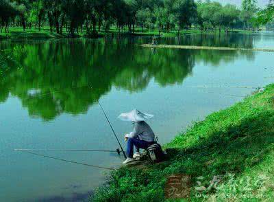 春天钓鲤鱼技巧 春天钓鱼技巧 教你春天钓鱼的技巧