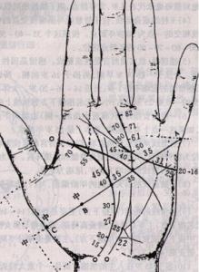 八字一生流年运程图 黄泓露：掌纹流年图解一生运程