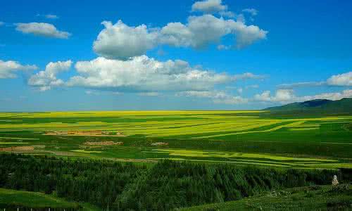 民乐油菜花 中國最美油菜花－甘肅民樂