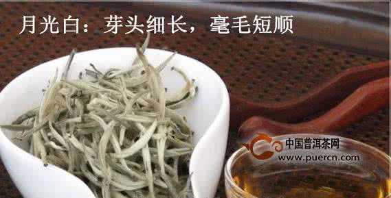 云南月光白茶 福鼎大白茶 福鼎白茶与云南月光白如何区分