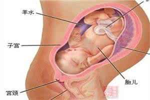三个月胎儿发育指标 怀孕三个月的胎儿图 怀孕三个月胎儿图及胎儿发育指标