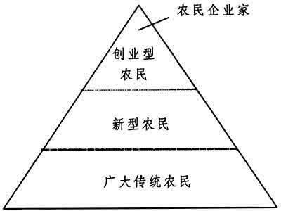 农民工回乡创业政策 培育农民创业能力　建设创业型新农村