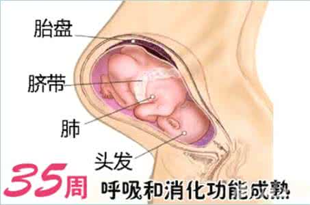 怀孕35周胎儿入盆图片 孕35周胎儿入盆图片 胎儿多少周入盆