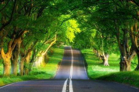 形容道路宽广的成语 有宽就有路，有容就有度